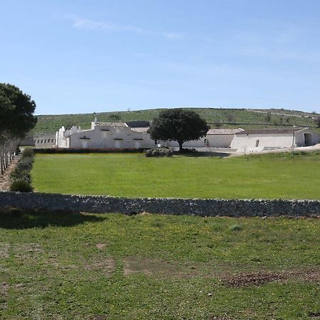 Masseria Torre Di Nebbia 카스텔델몬테 외부 사진