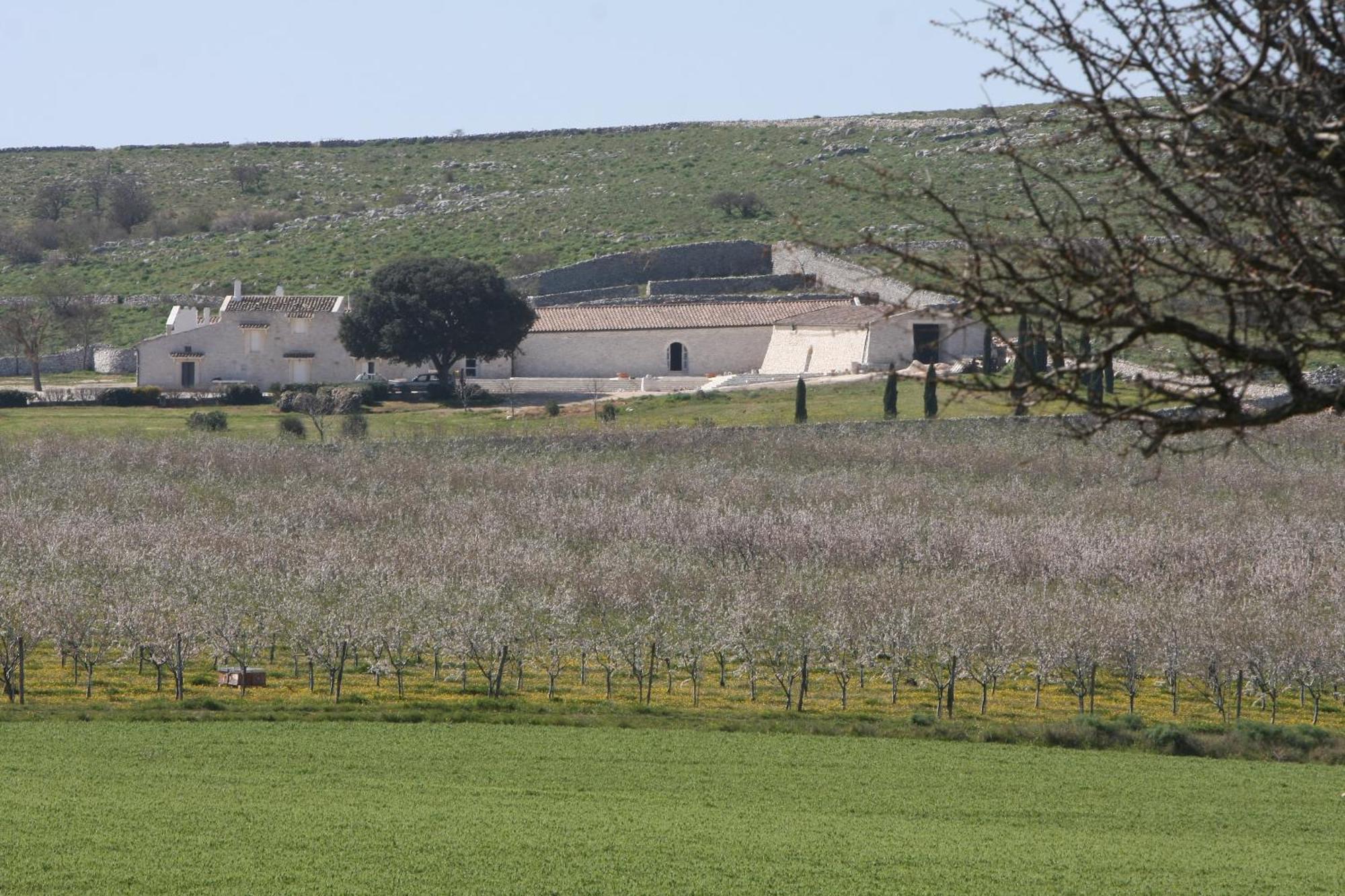 Masseria Torre Di Nebbia 카스텔델몬테 외부 사진