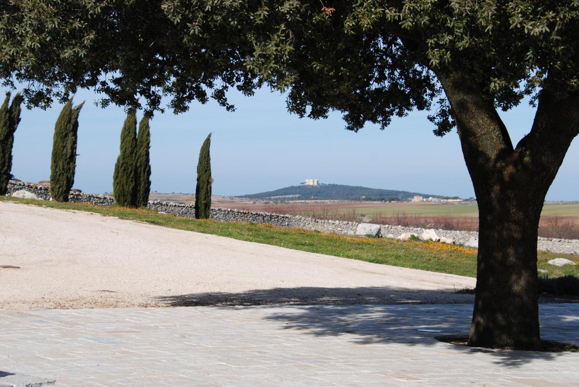 Masseria Torre Di Nebbia 카스텔델몬테 외부 사진
